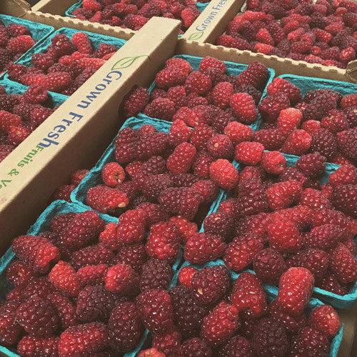 TAYBERRY jam