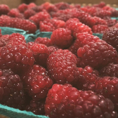 TAYBERRY jam