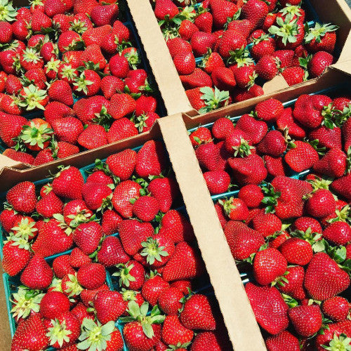 seascape STRAWBERRY jam