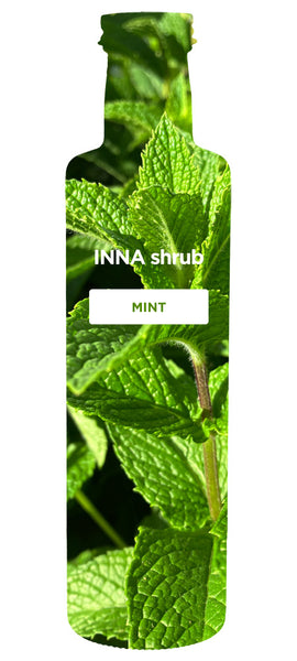 MINT shrub